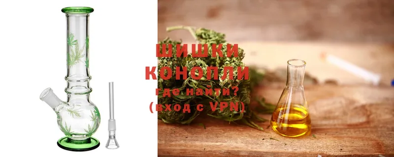 Бошки марихуана индика  купить  цена  Новокубанск 